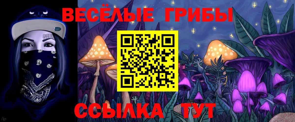 Галлюциногенные грибы Magic Shrooms Магнитогорск